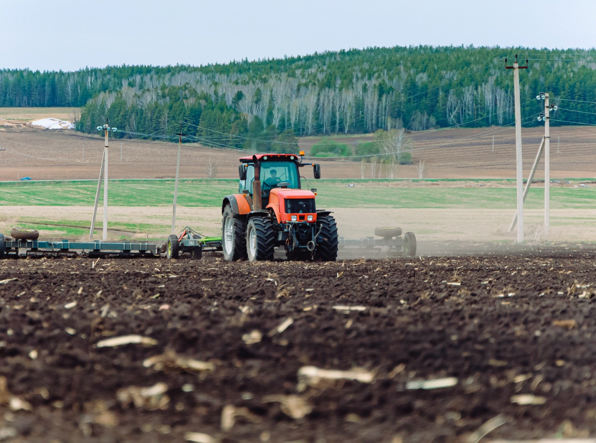 Фото: предоставлено ДИП